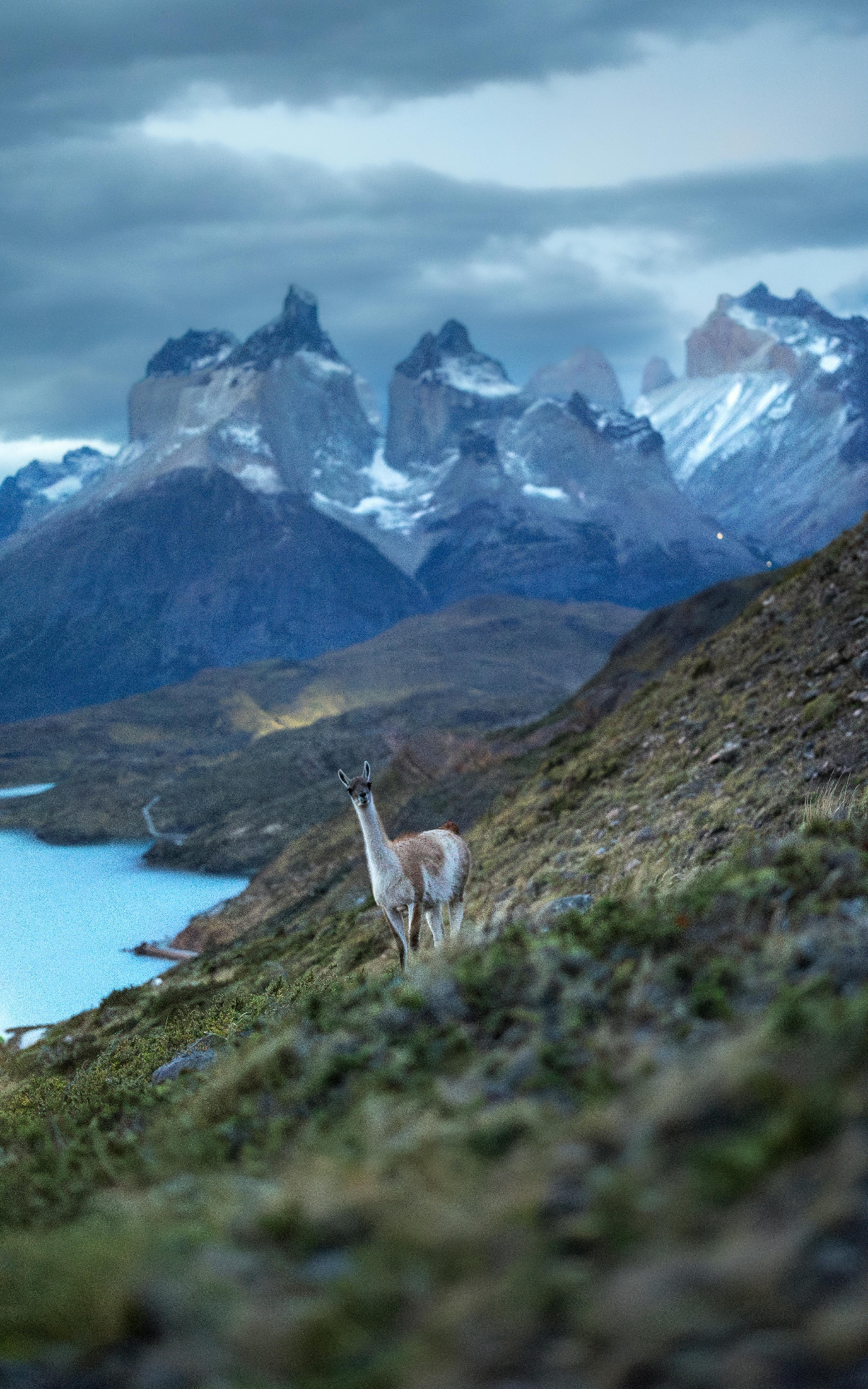 Executive Chef — Eco Lodge Patagonia — Puerto Natales, Chile